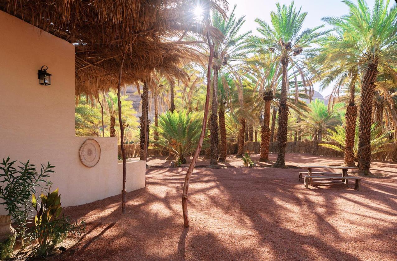 Under Las Palms Alula Hotel Madain Saleh Bagian luar foto