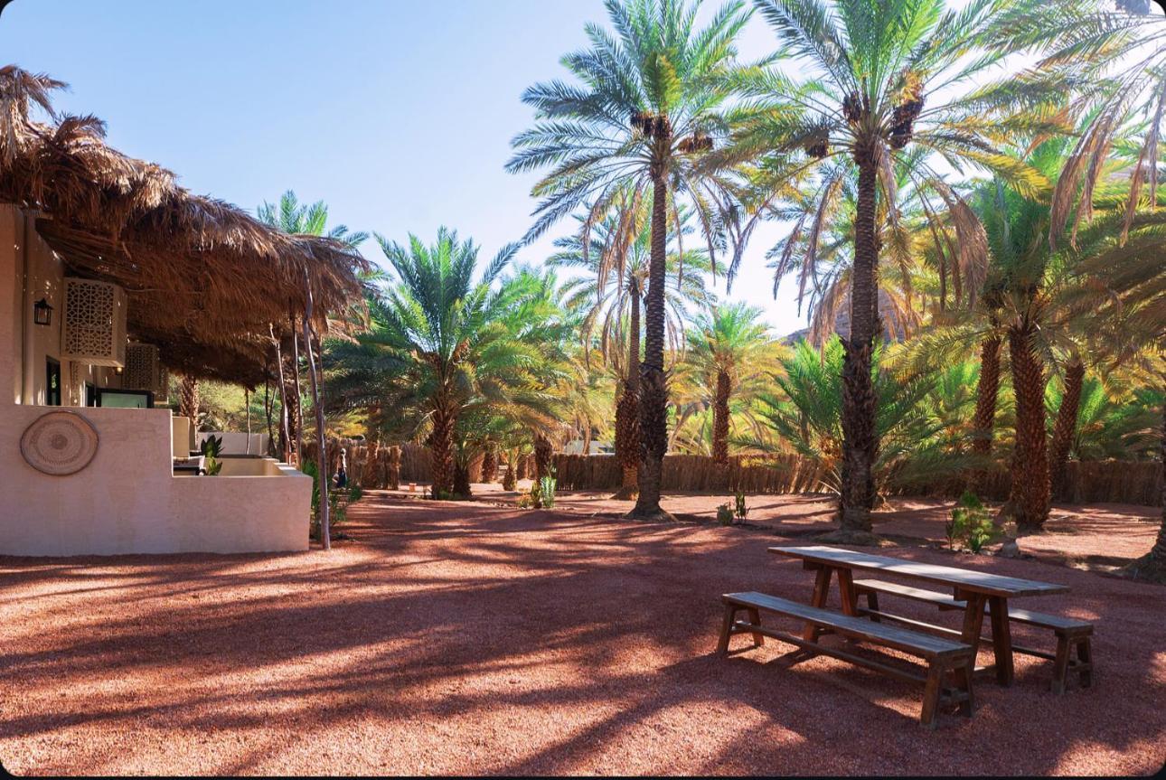 Under Las Palms Alula Hotel Madain Saleh Bagian luar foto